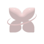 minimalista icon home removebg preview